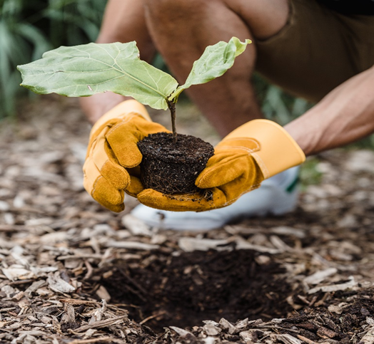 Shrewd Ways To Overcome Climate Change And Save The Earth - Cover Image